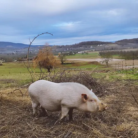 Les Deux Sources 3* Saint-Laurent-en-Royans